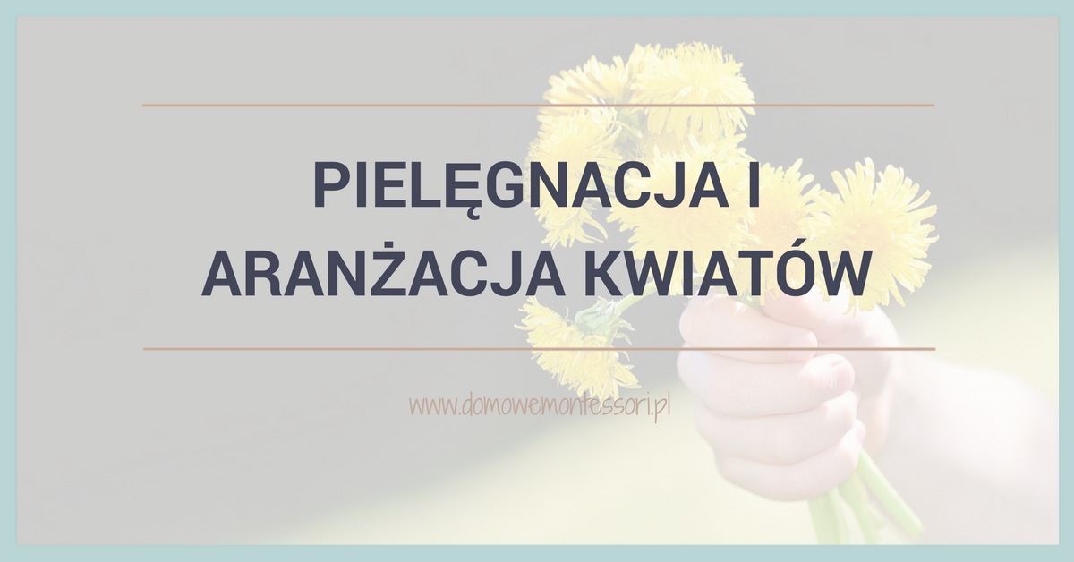 Pielęgnacja i aranżacja kwiatów ciętych