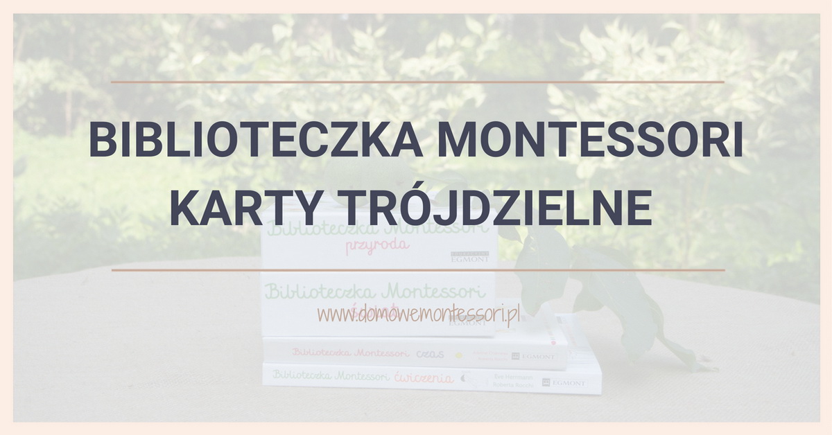 Karty z serii „Biblioteczka Montessori” - praktyczne i wartościowe materiały