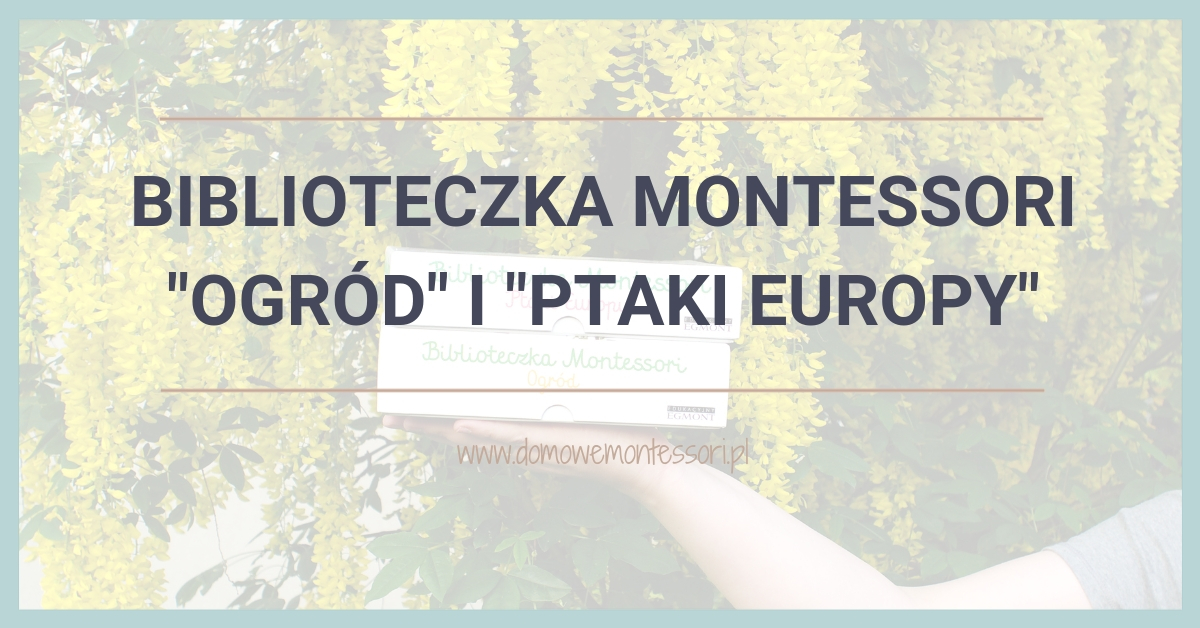 Poznajemy ptaki oraz badamy ogród z nowościami z Biblioteczki Montessori
