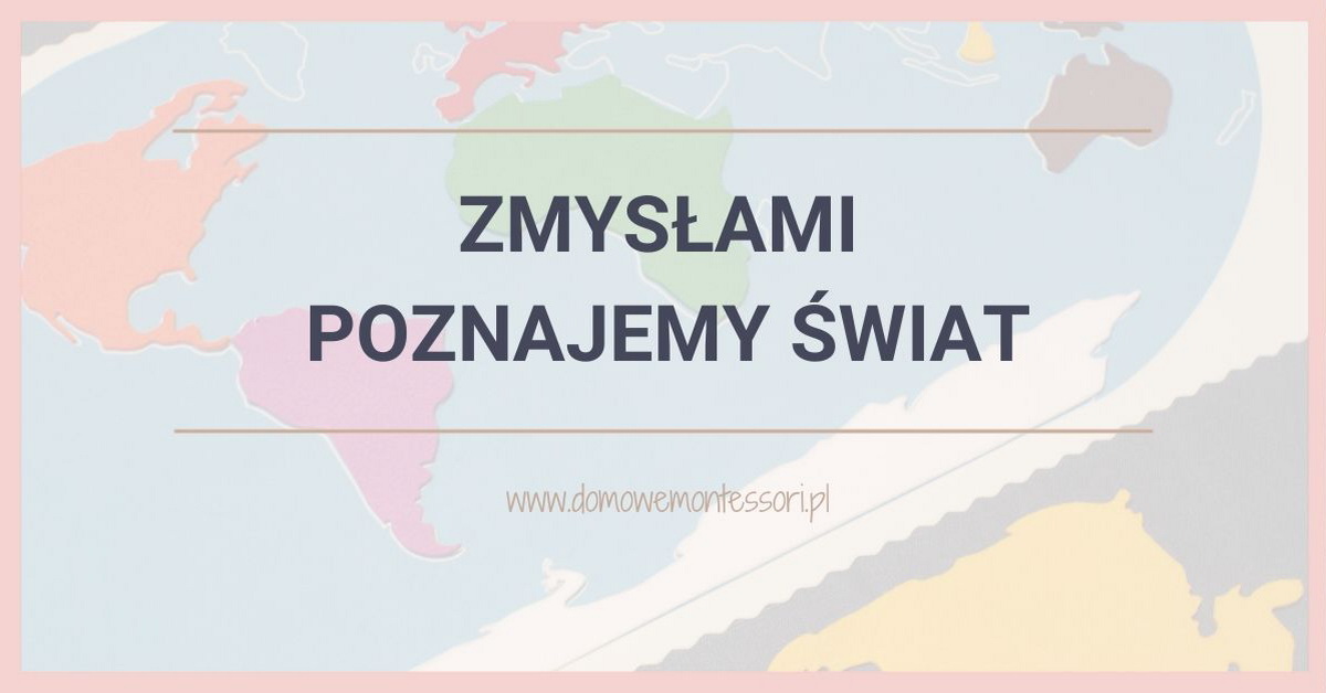 Zmysłami poznajemy świat